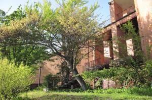 villa-in-vendita-san-salvatore-monferrato-al-10